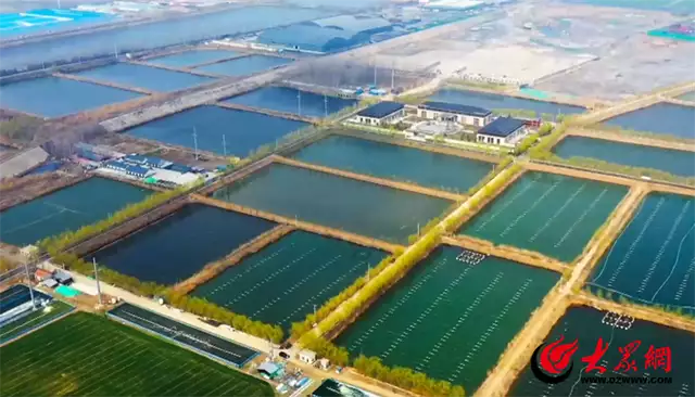 你要写济宁,就不能只写济宁(你要写济南冬天)