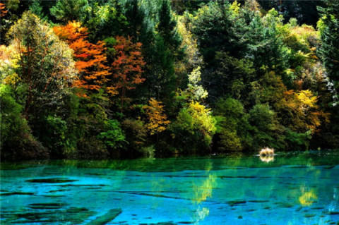 求一个人旅行九寨沟攻略?要准备多少钱?带什么物品?时间怎么掌控?途中需要注意哪些事项?越完善详细越好?(九寨沟一日旅游攻略自助游)