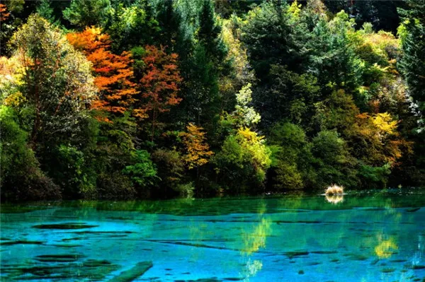 有没有去成都九寨沟旅游过的呀 毕业去九寨沟和成都玩 想问大概怎么走 人均花费多少 心里有个底~?(去成都九寨沟旅游要多少钱)