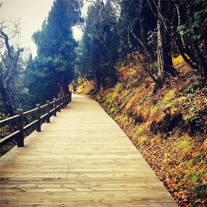 有没有去成都九寨沟旅游过的呀 毕业去九寨沟和成都玩 想问大概怎么走 人均花费多少 心里有个底~?(去成都九寨沟旅游要多少钱)