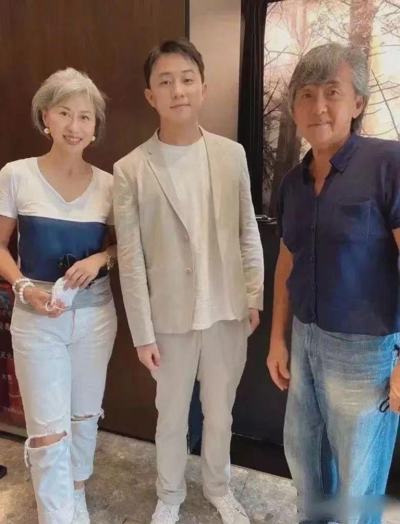 都是白发苍苍,林子祥十足老爷爷,叶倩文容貌和状态比实际年龄小(叶倩文第一任丈夫)