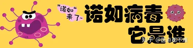 诺如病毒高发季,快来看看怎么对付它!(诺如病毒怎么解决)