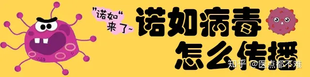 诺如病毒高发季,快来看看怎么对付它!(诺如病毒怎么解决)