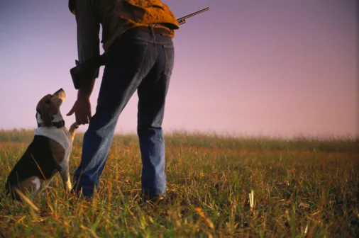 【狗语者说-56-】忠犬八公,以及它背后的故事