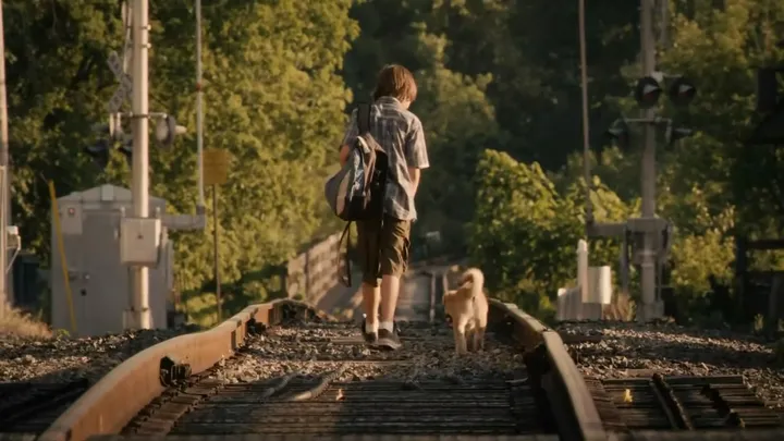 【狗语者说-56-】忠犬八公,以及它背后的故事