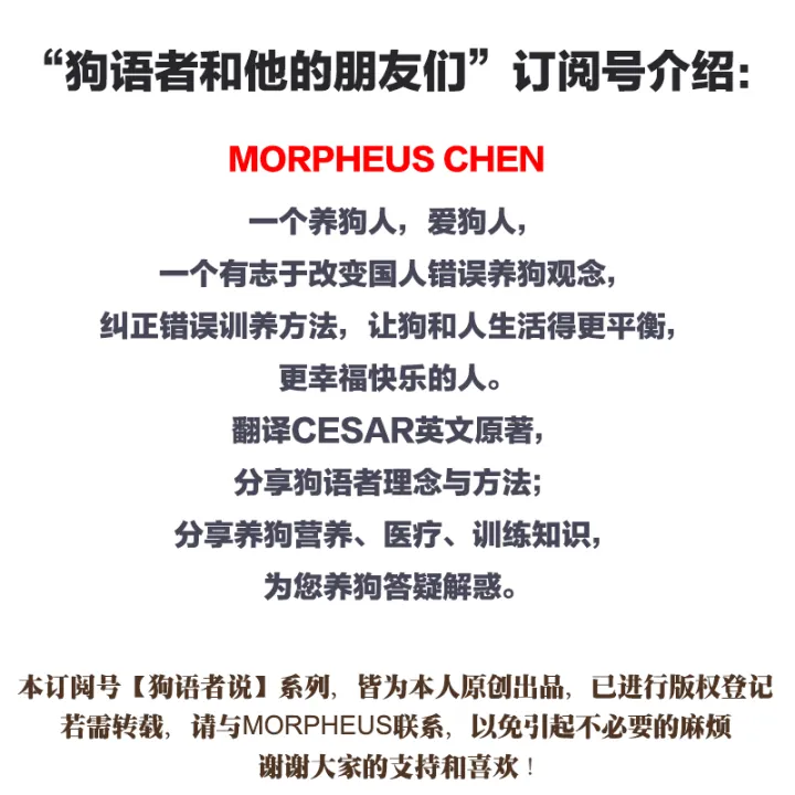 【狗语者说-56-】忠犬八公,以及它背后的故事