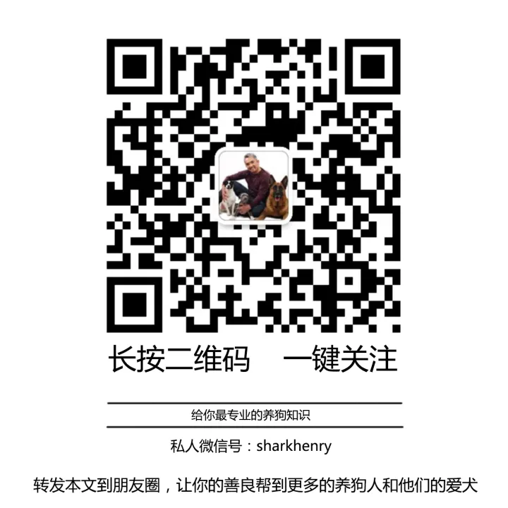 【狗语者说-56-】忠犬八公,以及它背后的故事