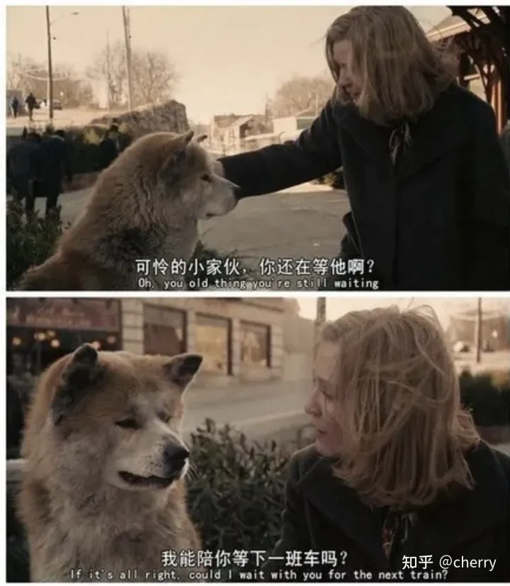 《忠犬八公》一条等待主人十年的狗狗