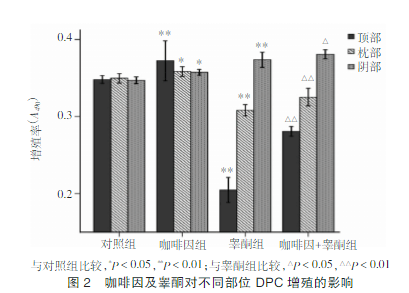 喝咖啡的好处与坏处有哪些?