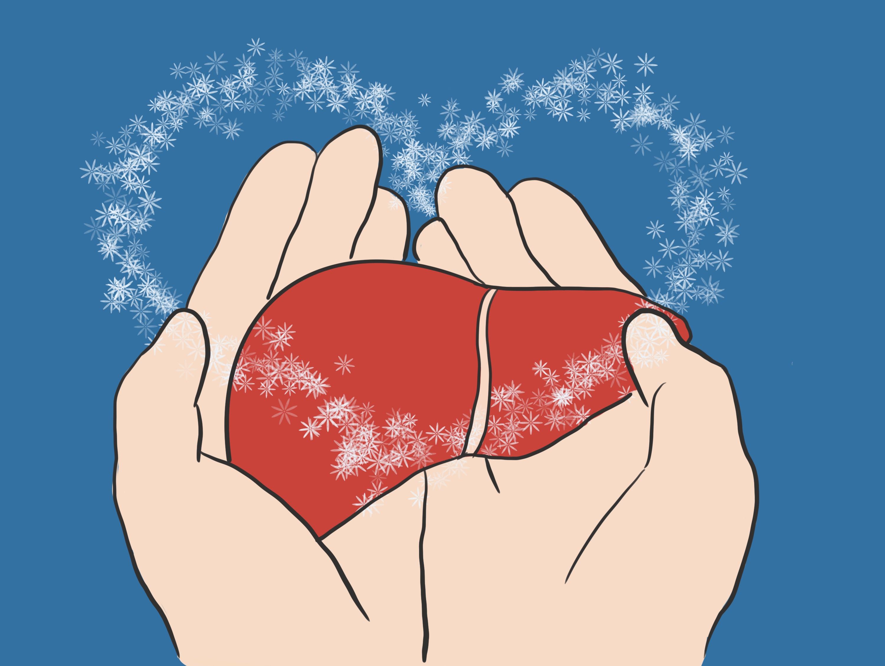 发现肝脏有结节,应该如何处理?