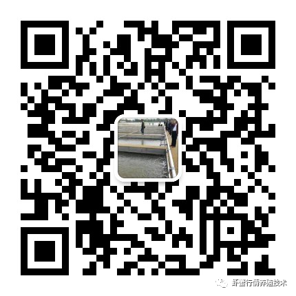 中国引进“新型”龙虾,一只重达1斤,小龙虾的地位不保?