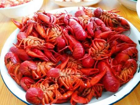 国产“小龙虾”终被发现,一斤50元,味鲜又干净,却少有人知道