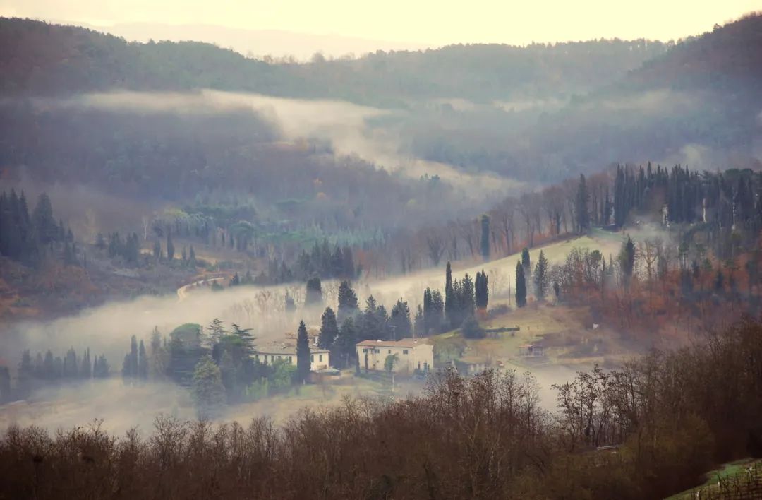 夜 · 深读|我记得当时雾气迷漫