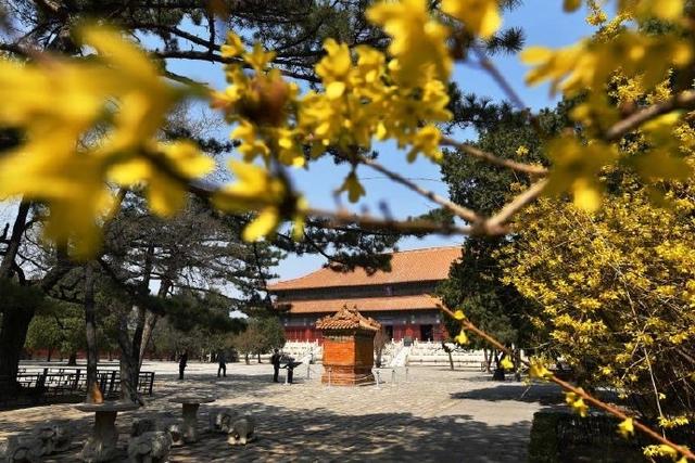 不再让文物躺在库房睡大觉!明十三陵将办多场展出推动文物活化利用-明十三陵考古发掘