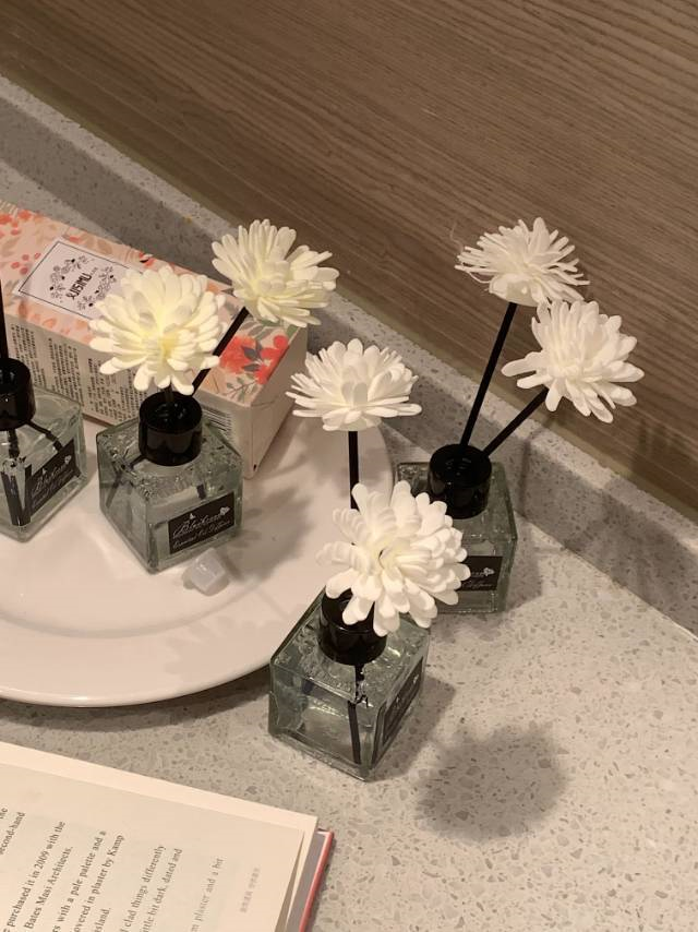 把五星级酒店香味带回家,9.9元/5瓶无火香薰,让你精致不止一点点-五星酒店的香薰是什么味道