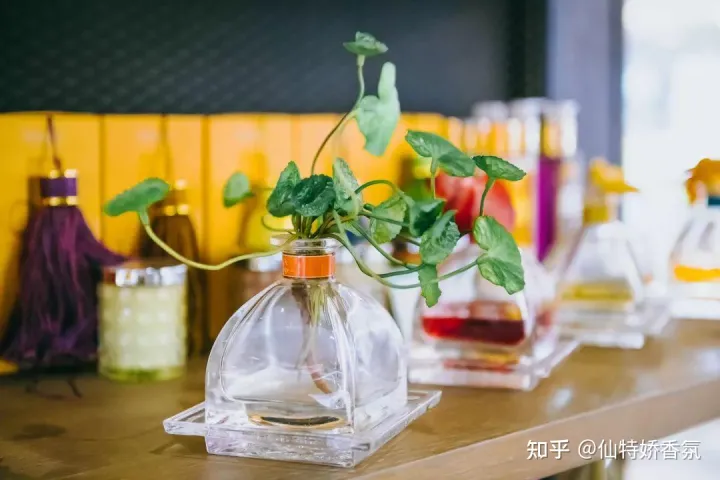 五星级酒店用什么香味?看过就知道了-五星级酒店香味怎么出来的