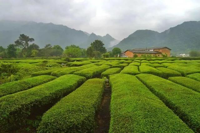 五星级酒店香味带回家,大牌同厂无火香薰,升级你家的味道!-五星级酒店用的香薰是什么牌子的好