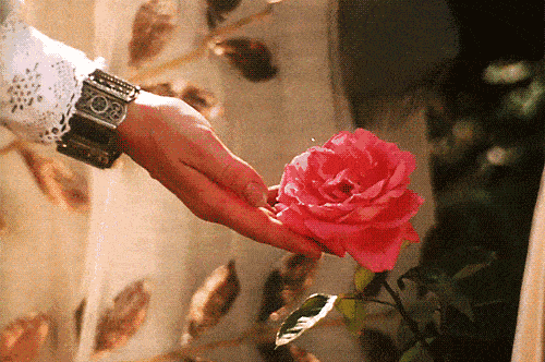 五星级酒店香味带回家,大牌同厂无火香薰,升级你家的味道!-五星级酒店用的香薰是什么牌子的好