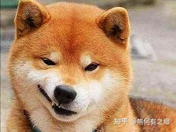 科目二起步和停车操作中,挡位操作与手刹操作的正确顺序-考科二的时候是先挂挡再松手刹吗