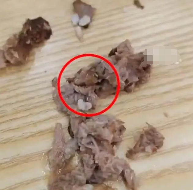 女子称吃黄焖排骨发现满嘴是蛆,供应商给出的赔偿数字让女子气愤(排骨里面长蛆了该怎么弄)