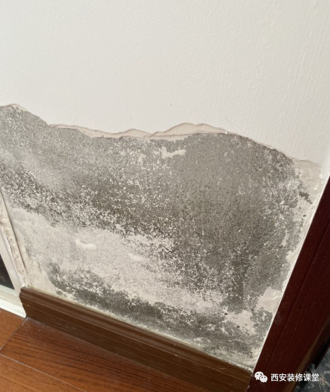 装修新家有哪些装修细节攻略推荐?-新房装修步骤和流程简单说说怎么写