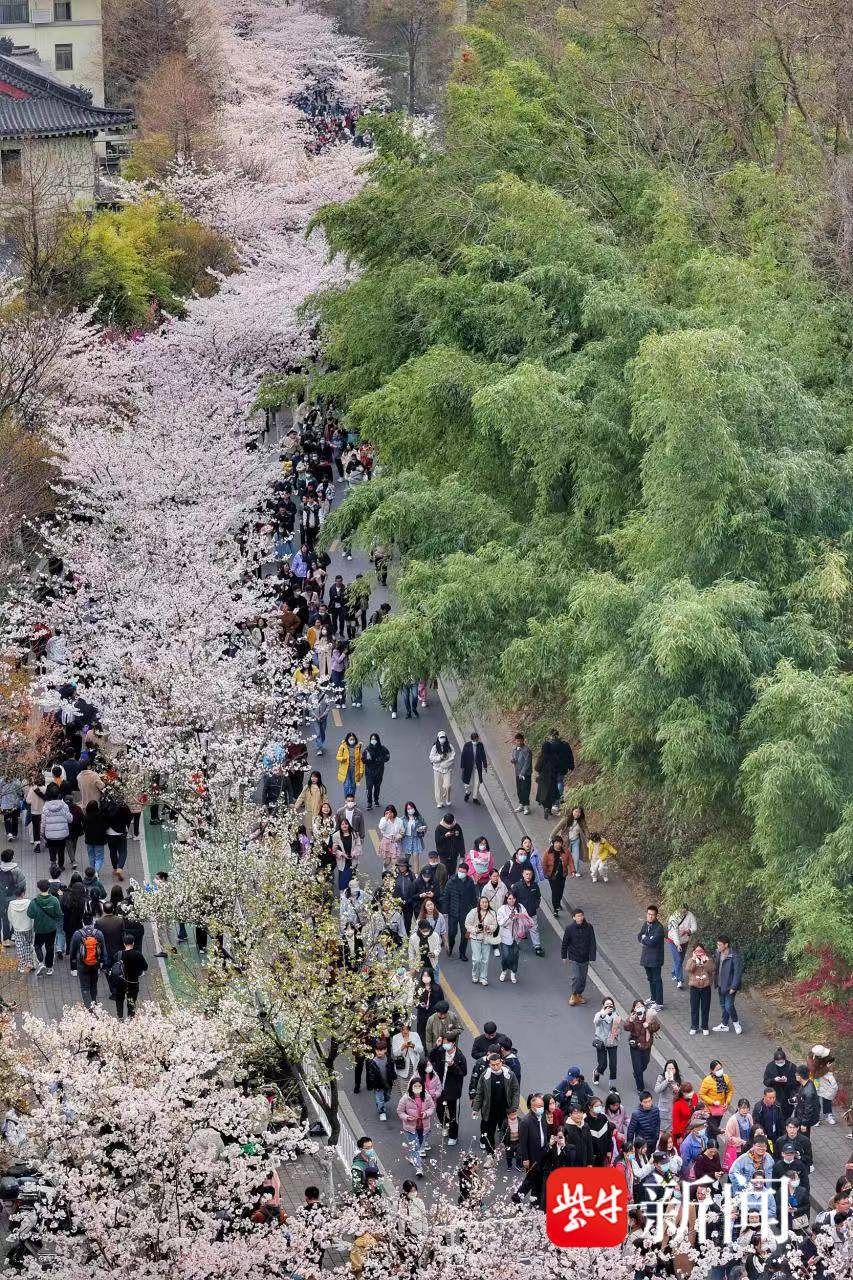 3分钟!我在鸡鸣寺“捡”了40元钱(鸡鸣寺里的东西能买吗)
