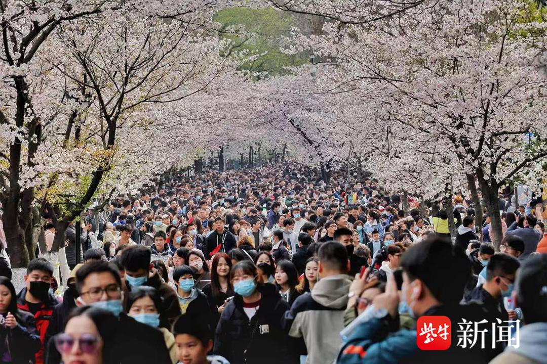 3分钟!我在鸡鸣寺“捡”了40元钱(鸡鸣寺里的东西能买吗)