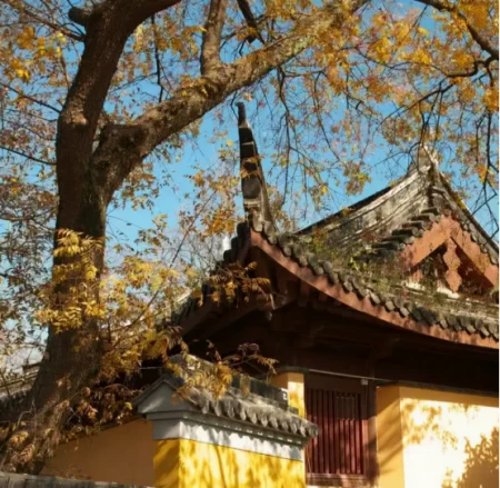 鸡鸣寺游客爆满设反悔门,网友:我佛果然慈悲,还给反悔的机会(鸡鸣寺官方回应)