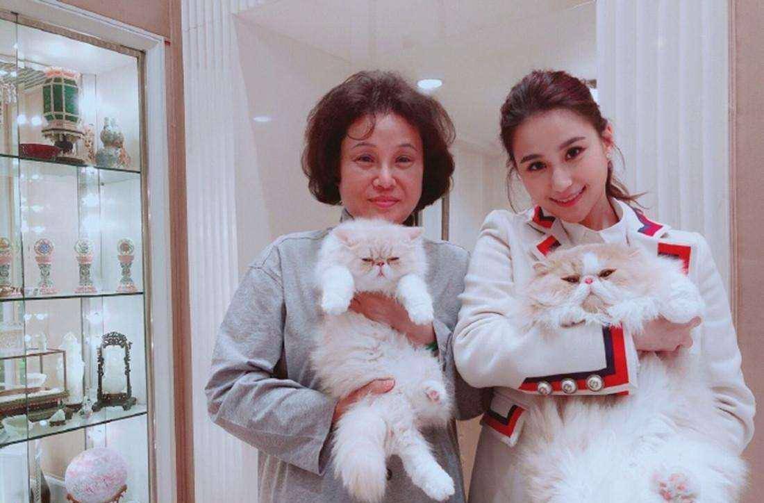 身家400亿,与吴克群相恋4年的何超莲,为什么转身嫁给了窦骁?-窦骁个人资产多少亿