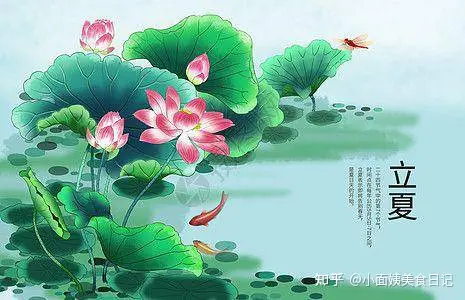 “立夏一碗汤,不劳医生帮”,这6款汤水要多喝,生津开胃又解暑