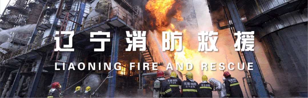 火海中,妈妈将两个孩子扔下楼,自己却不幸身亡(母亲火海救出五个儿女的小说)