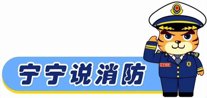 火海中,妈妈将两个孩子扔下楼,自己却不幸身亡(母亲火海救出五个儿女的小说)