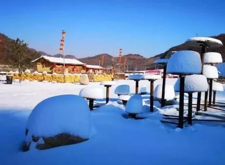 580【关东双岛·双雪乡·双温泉3日游】1月多团期 北京起止 0购物0自费-双城市关东酒业有限公司官网