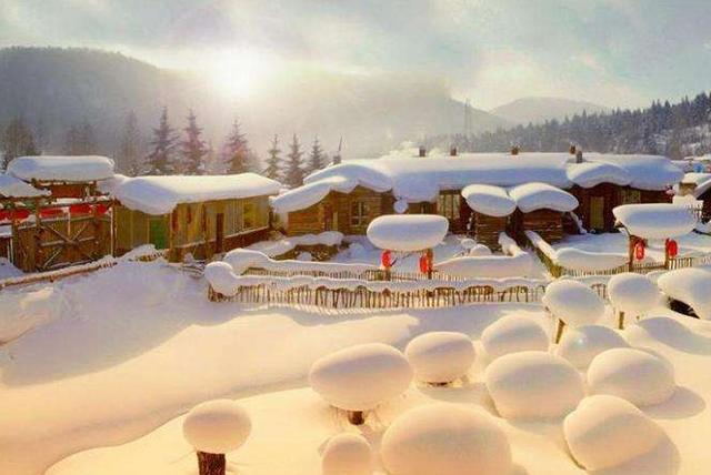 雪乡明码标价再不“宰客”,但看清价目表后,游客:绝对不去-雪乡官方网站