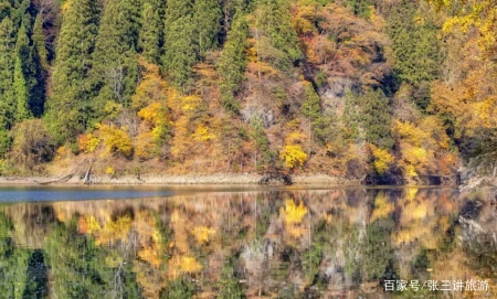 日本这条铁路,穿过秋天的红枫雪乡,吸引着中国游客打卡-日本枫树山红叶