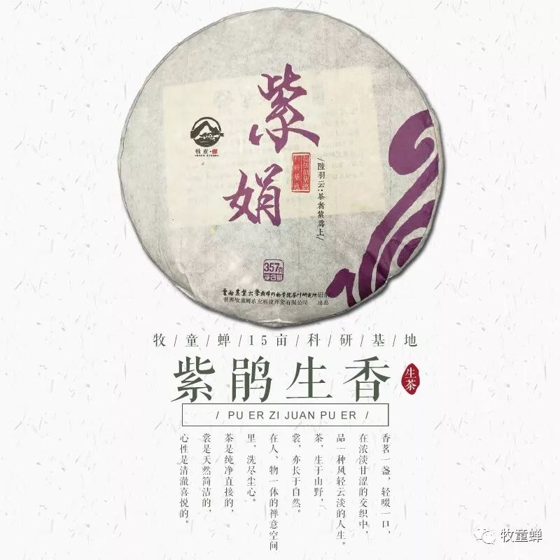 【产品篇】茶中软黄金~~紫娟茶-紫娟是普洱茶的一种吗