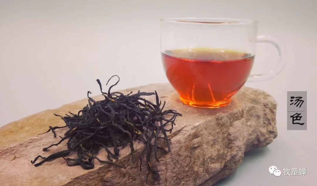 【产品篇】茶中软黄金~~紫娟茶-紫娟是普洱茶的一种吗