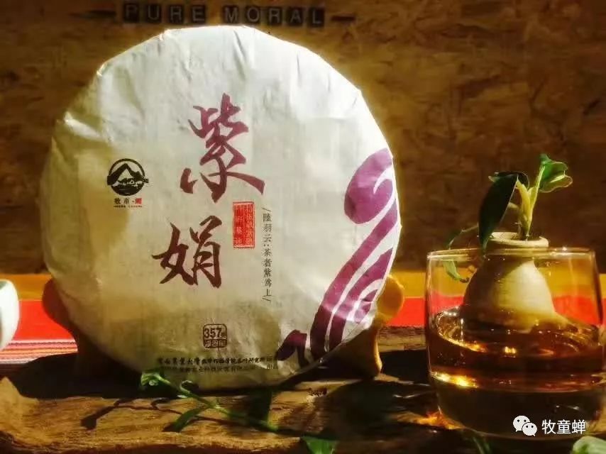 【产品篇】茶中软黄金~~紫娟茶-紫娟是普洱茶的一种吗