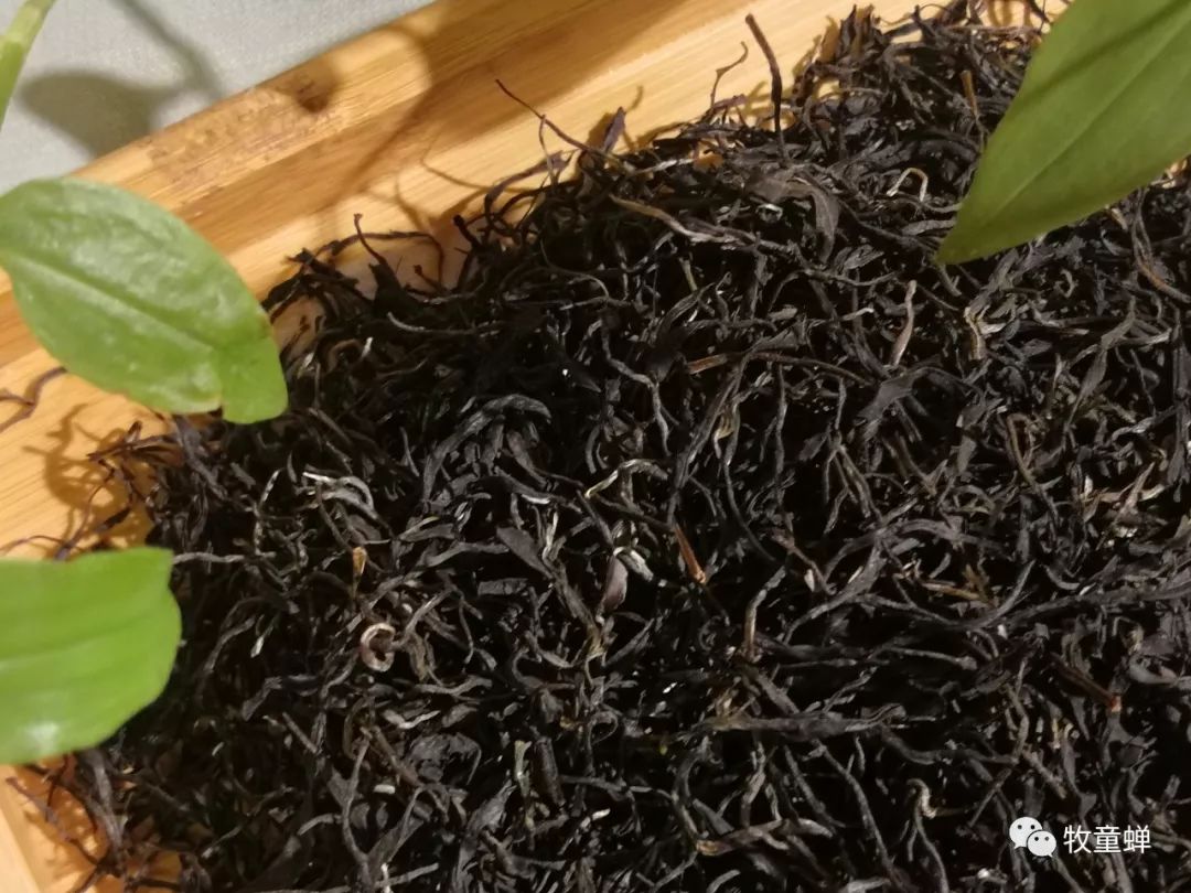 【产品篇】茶中软黄金~~紫娟茶-紫娟是普洱茶的一种吗