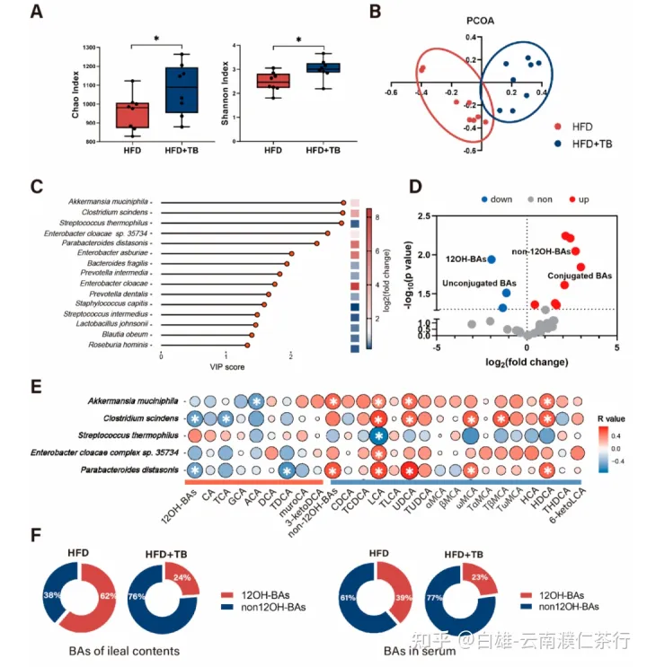 普洱茶中的黄金-茶褐素-普洱茶有添加色素及香料么