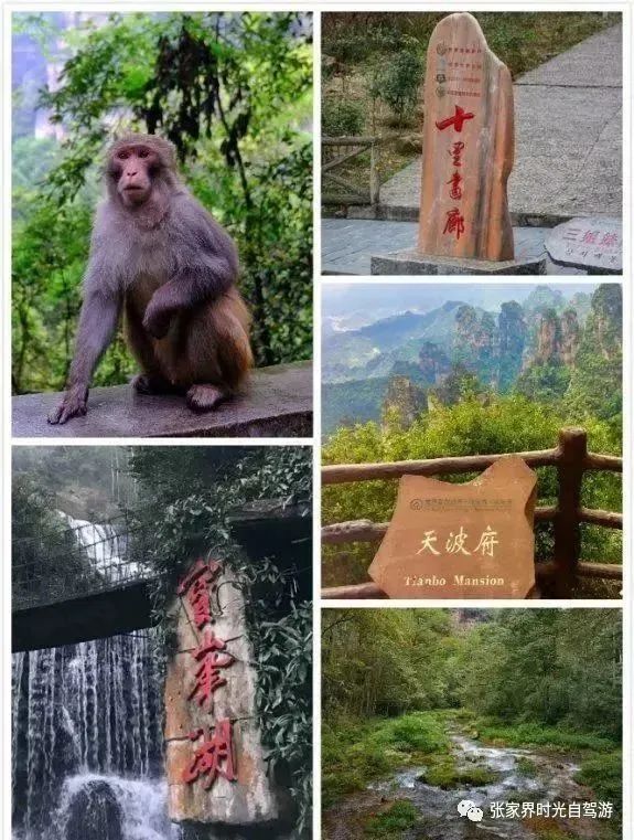 张家界旅游攻略_张家界三、四、五日游景点路线_看完少走弯路-张家界游玩攻略三日游路线