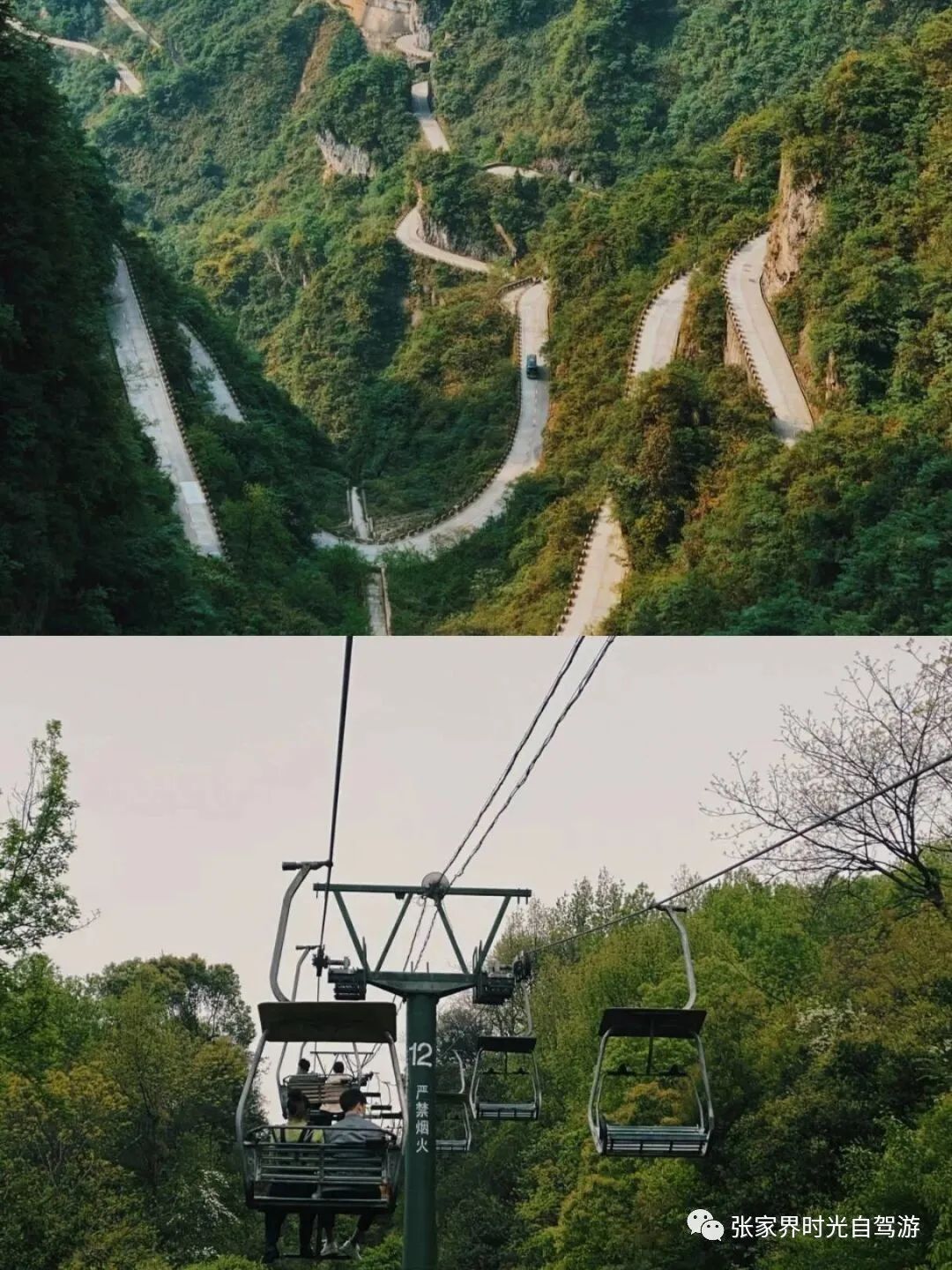 张家界旅游自助游攻略 | 我来教你张家界五天四夜怎么玩?我来教你!-张家界旅游团报价5日游