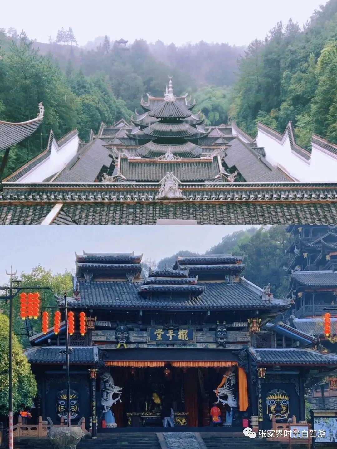 张家界旅游自助游攻略 | 我来教你张家界五天四夜怎么玩?我来教你!-张家界旅游团报价5日游