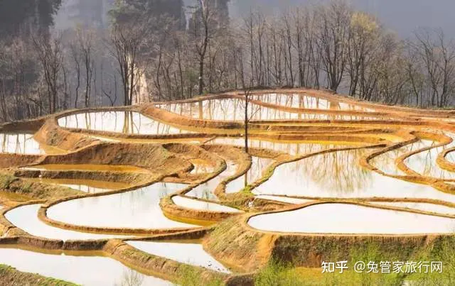 张家界三日游攻略,不能错过的旅游宝典-张家界3日游旅游攻略