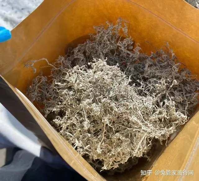 张家界三日游攻略,不能错过的旅游宝典-张家界3日游旅游攻略