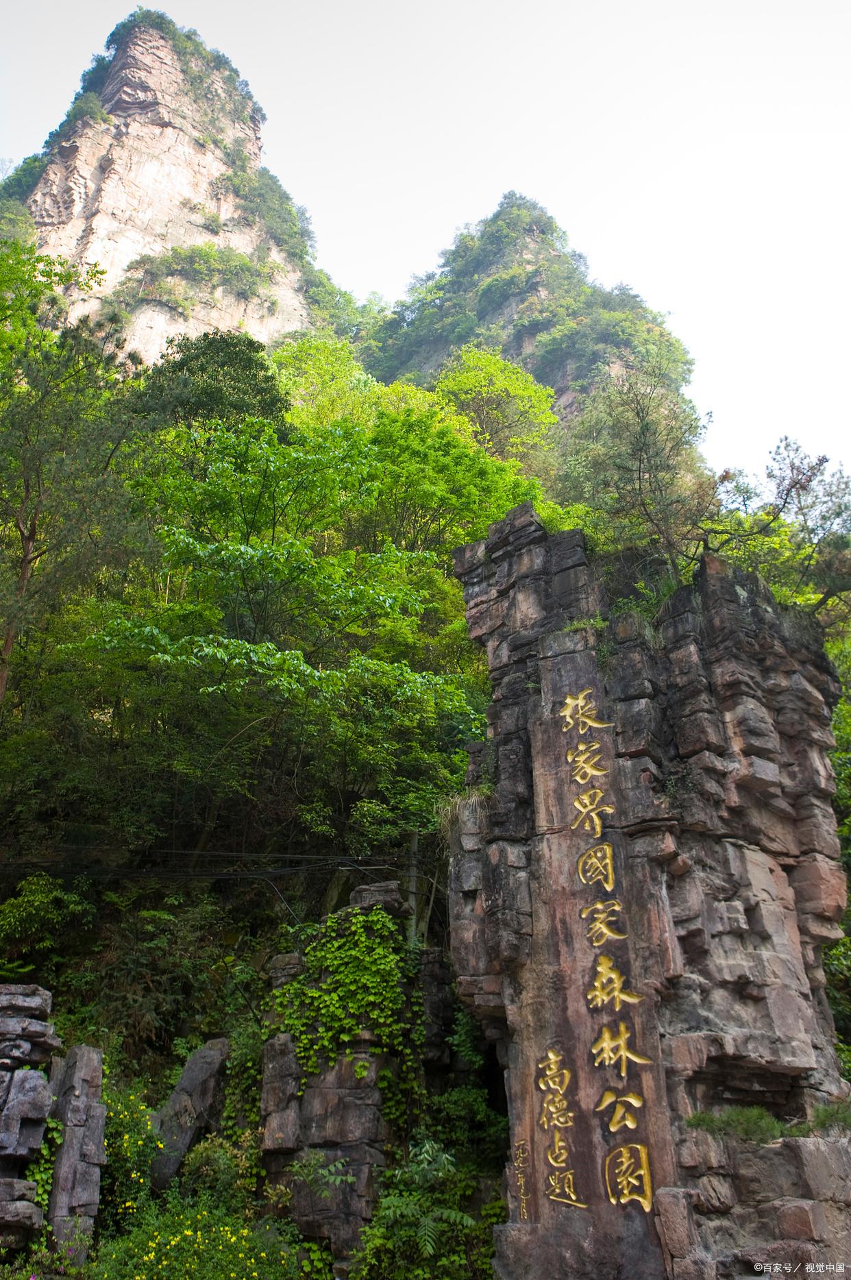 第一次来张家界,推荐一条3天的行程,吃、住、游都有-张家界旅游三天攻略