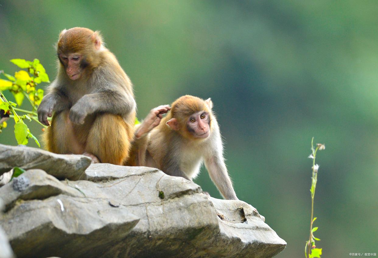 第一次来张家界,推荐一条3天的行程,吃、住、游都有-张家界旅游三天攻略