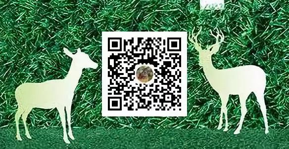 土豪都喜欢种这9种名贵花卉盆栽植物,极高的观赏价值又镇宅招财-比较名贵的盆栽植物