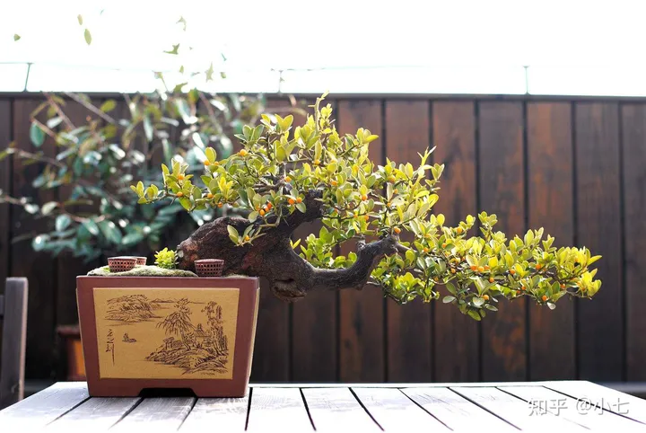 有哪些已经绝灭了的名贵花卉?-己经灭绝了的植物名单有哪些