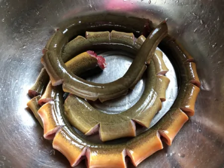 体质虚弱就多点吃“它”贵也不要省,出虚汗的更要常吃,鲜美养人(身体虚弱吃)